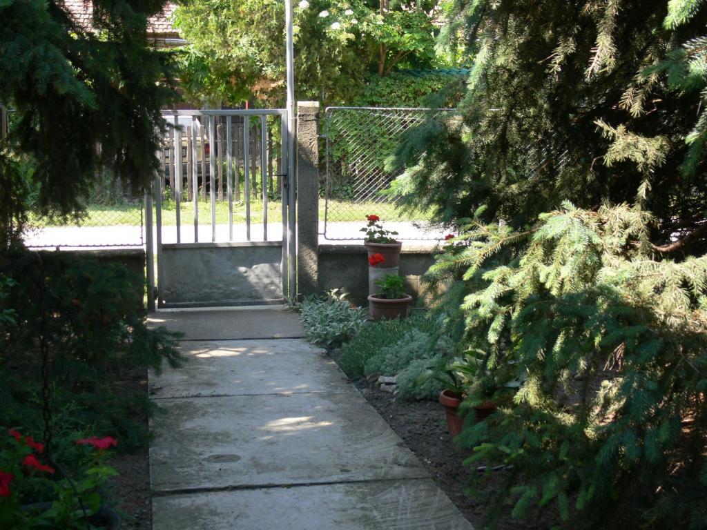 Joky Katona Rooms & Apartments Palić Esterno foto